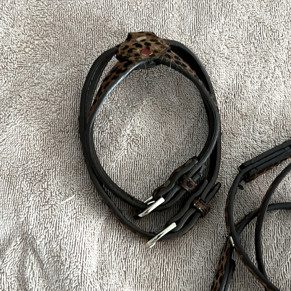 Cheetah style leash and harness